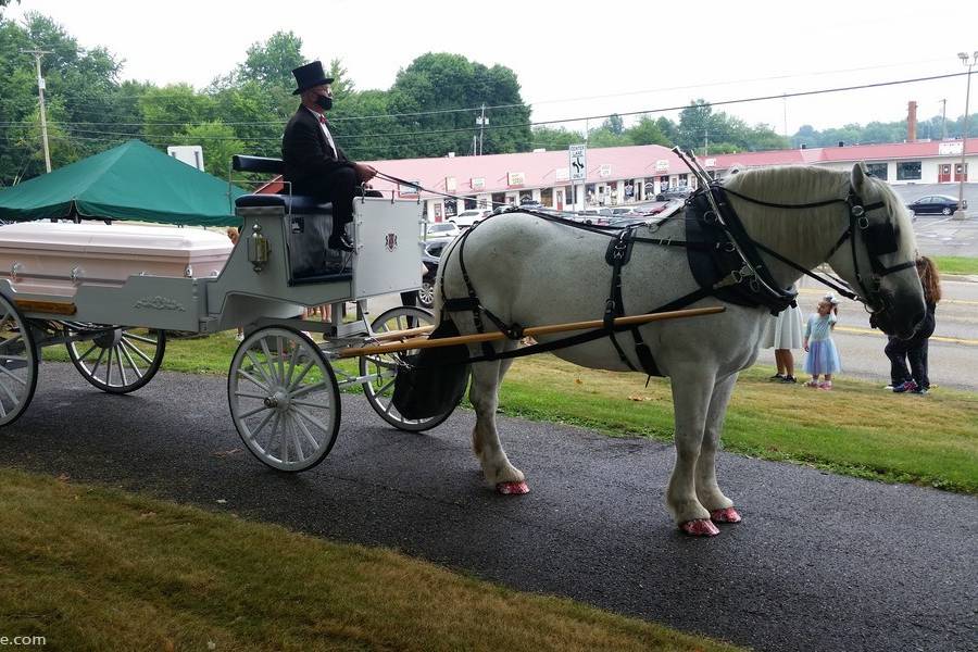 Caisson Hearse