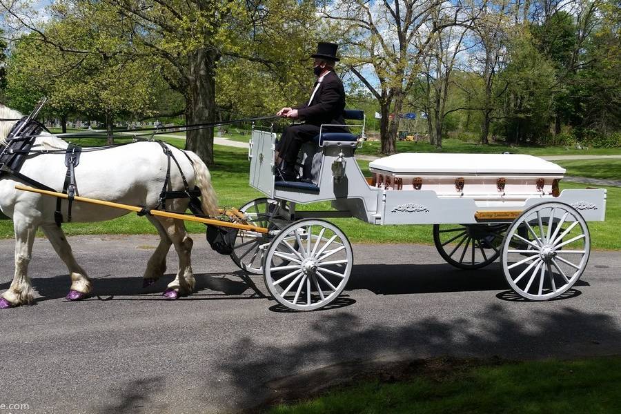 Caisson Hearse