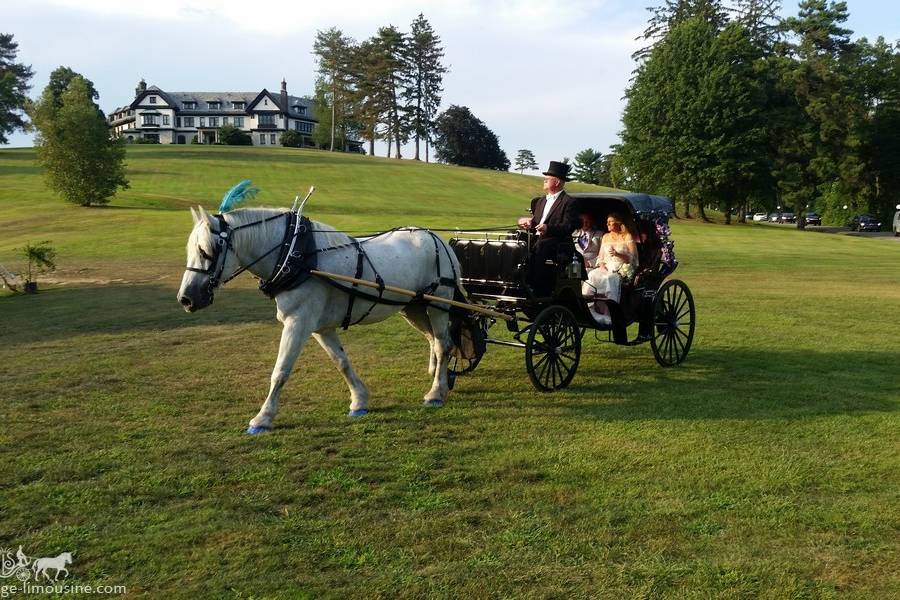 Cinderella Carriage