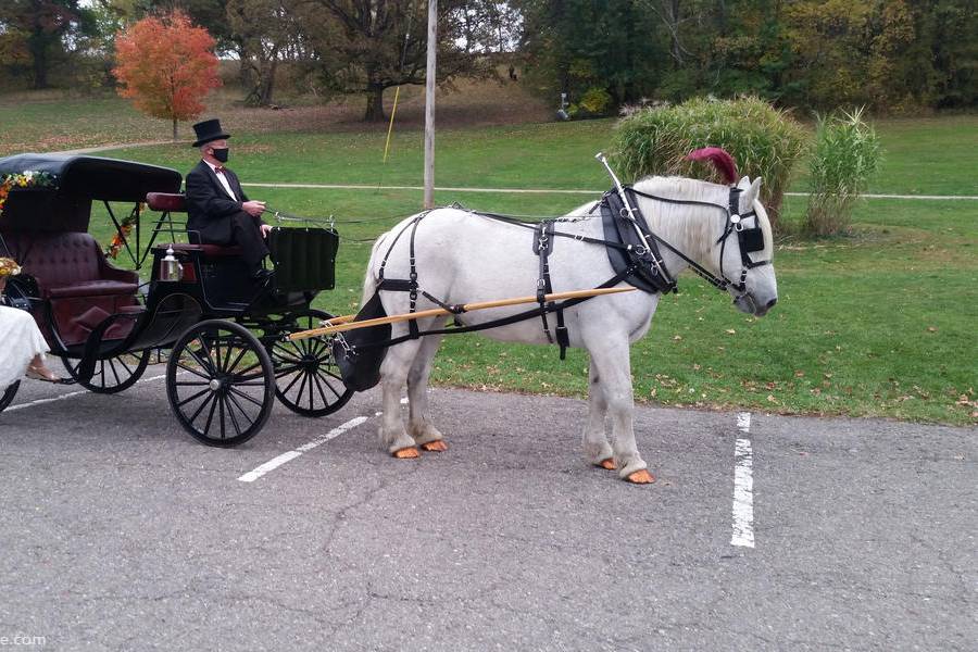 Cinderella Carriage