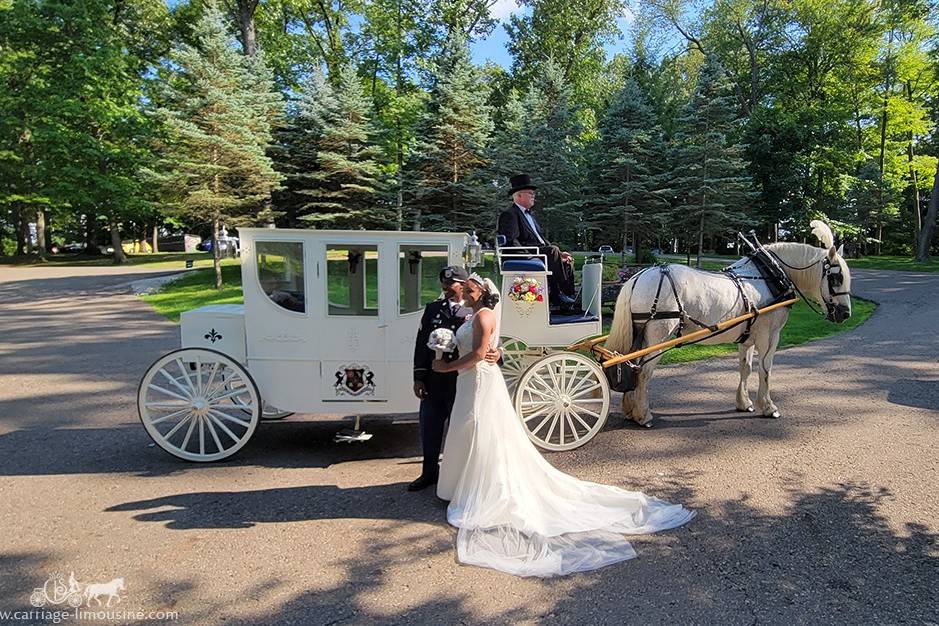 Carriage Limousine Service, Horse Drawn Carriages