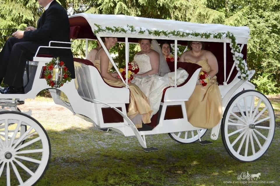 Limousine Carriage