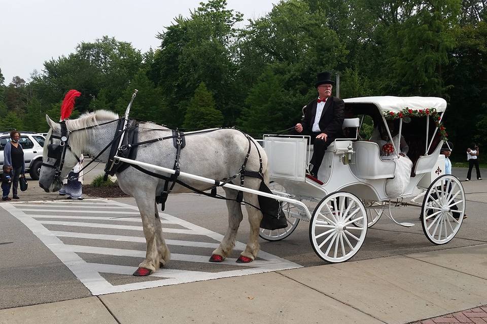 Carriage Limousine Service, Horse Drawn Carriages