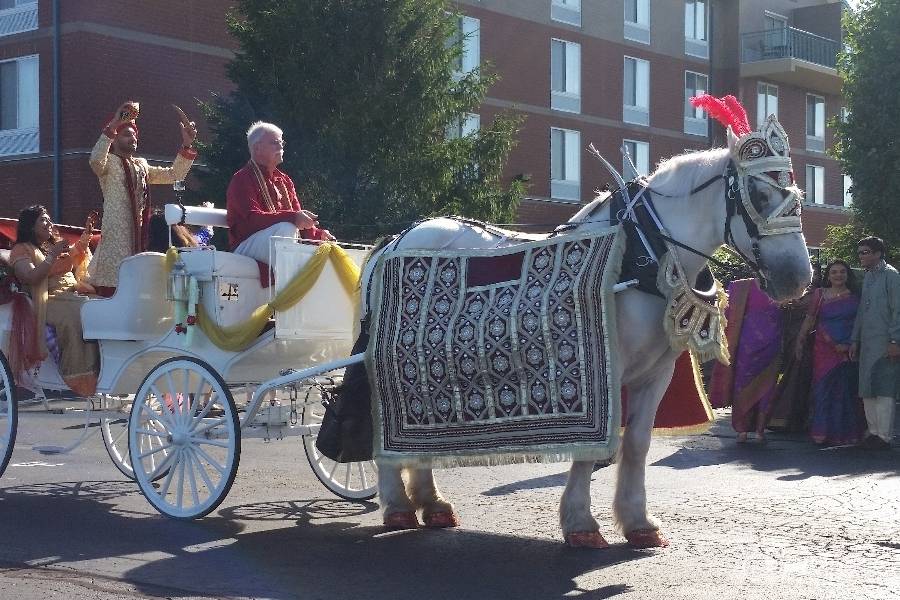 Indian Wedding Carriage