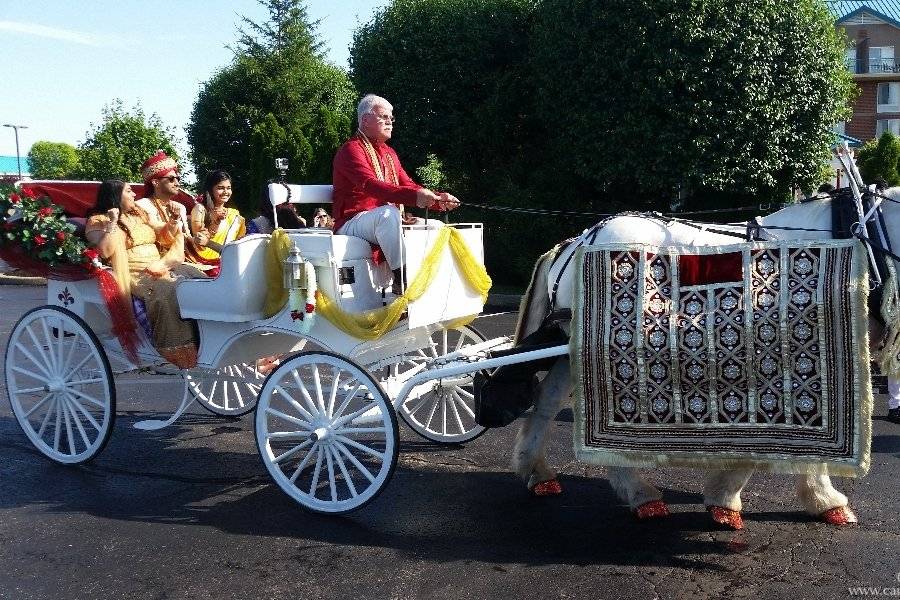 Indian Wedding Carriage