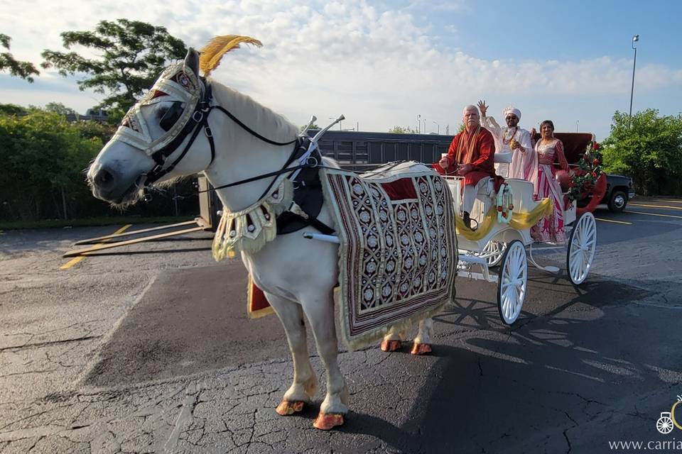 Indian Wedding Carriage