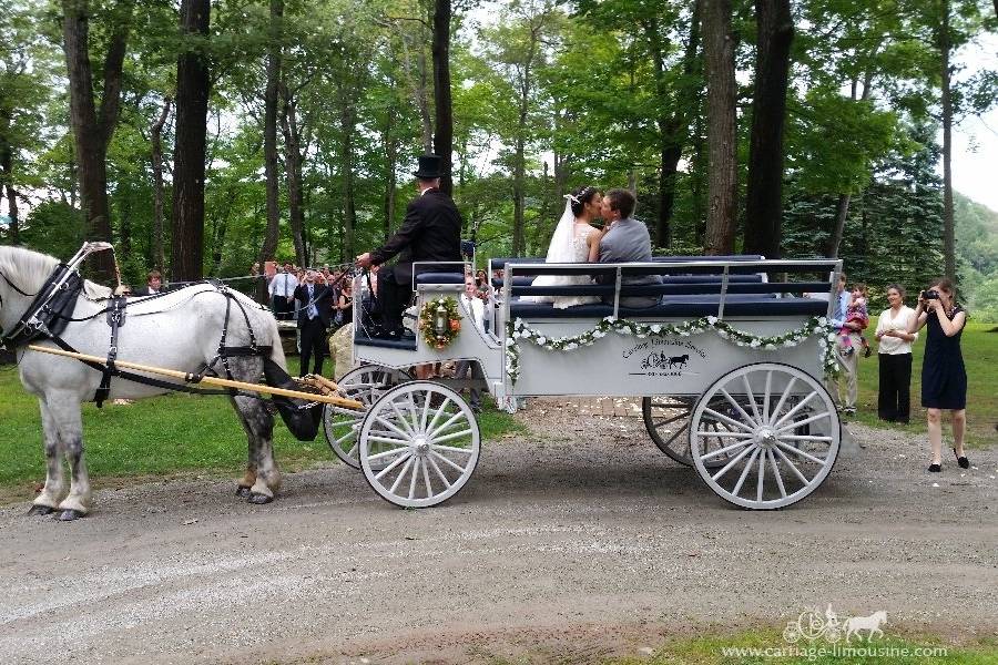 Limousine Carriage