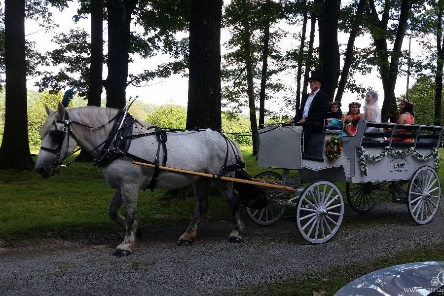 Carriage Limousine Service, Horse Drawn Carriages