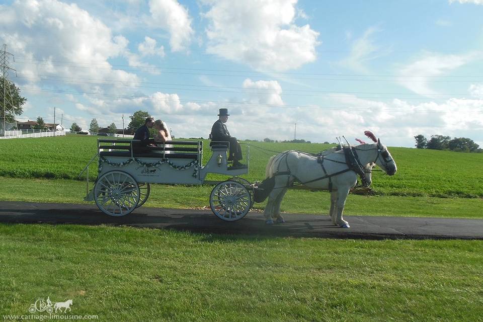 Limousine Carriage