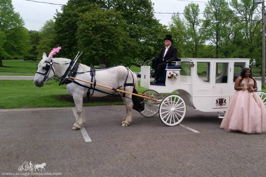 Carriage Limousine Service - Horse Drawn Carriages