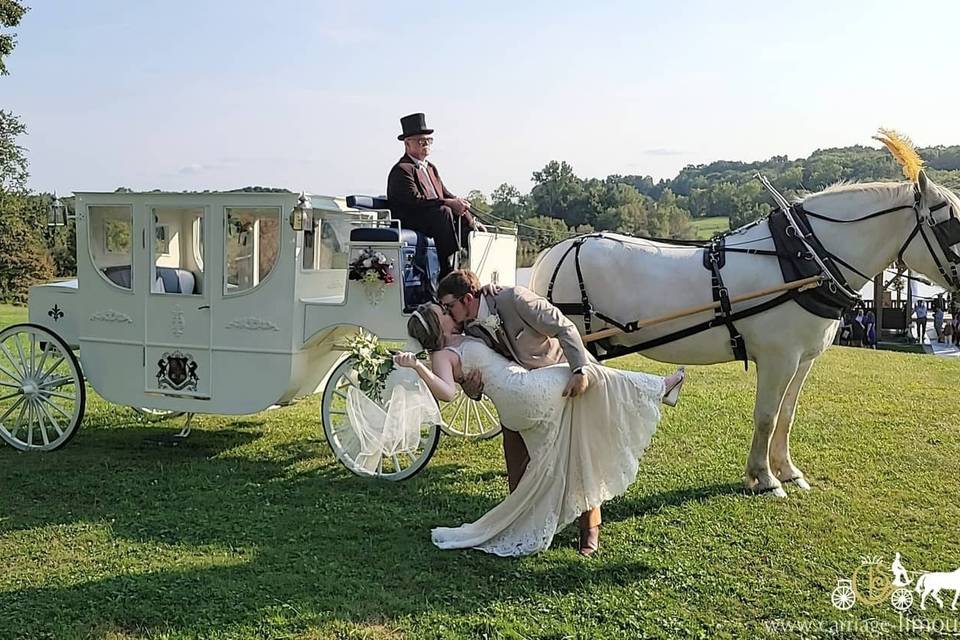 Indian Wedding Carriage