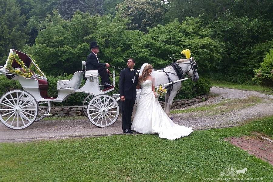Indian Wedding Carriage