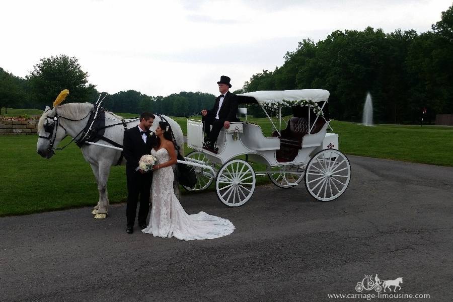 Caisson Hearse