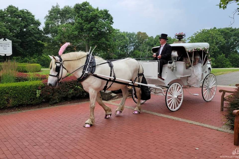 Victorian Carriage