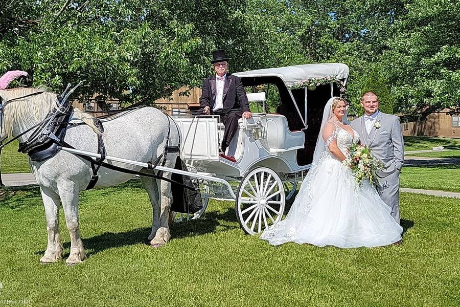 Victorian Carriage