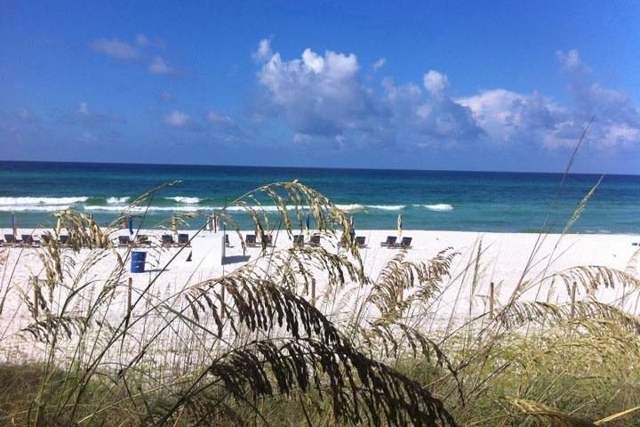 Beach Beginnings Weddings