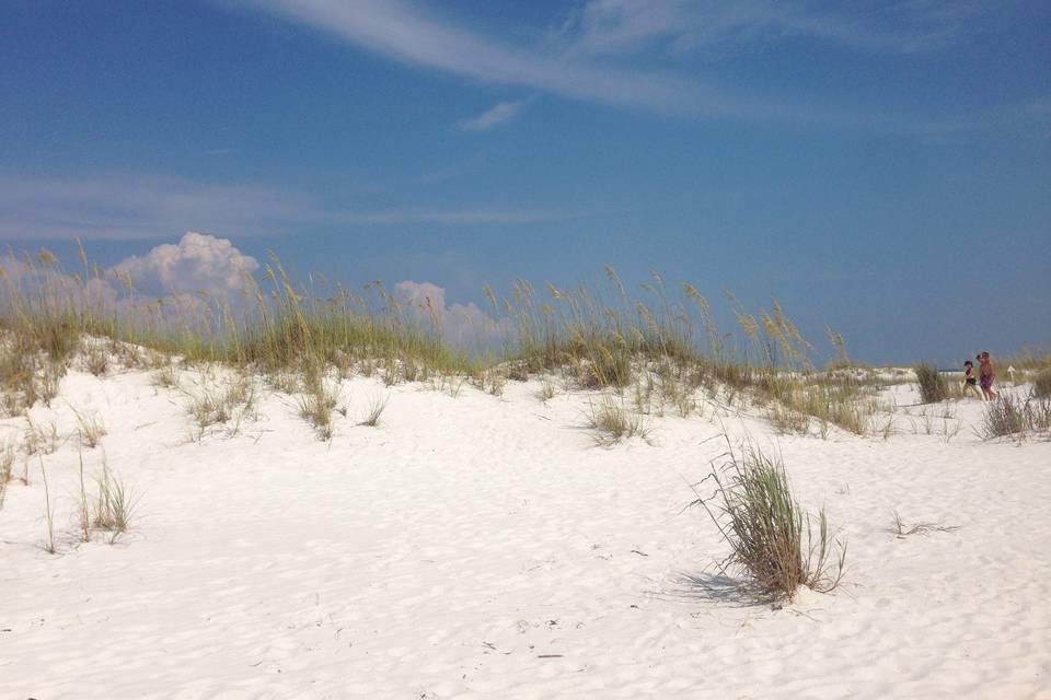 Beach Beginnings Weddings