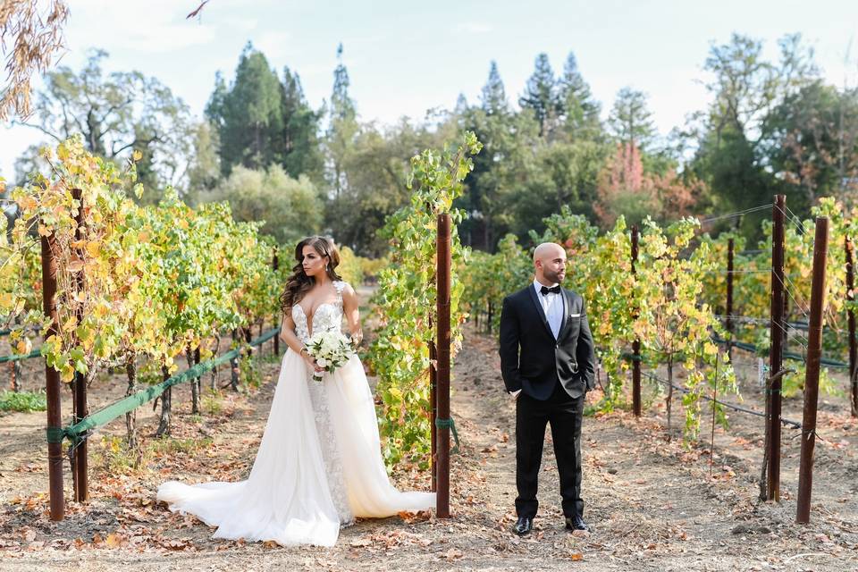 Napa Wedding