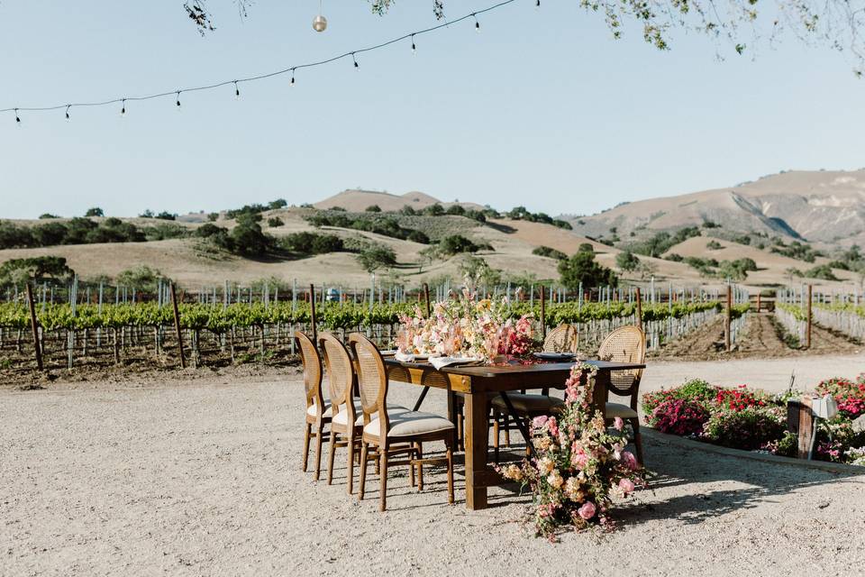 Santa Ynez Elite Party Rentals