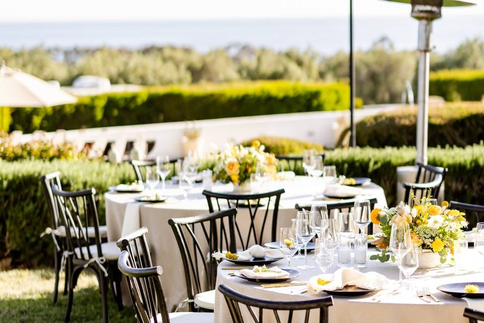 Santa Ynez Elite Party Rentals