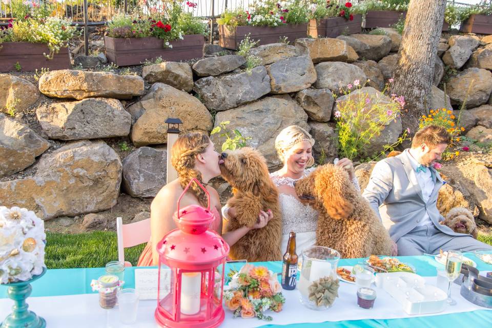 Puppies
