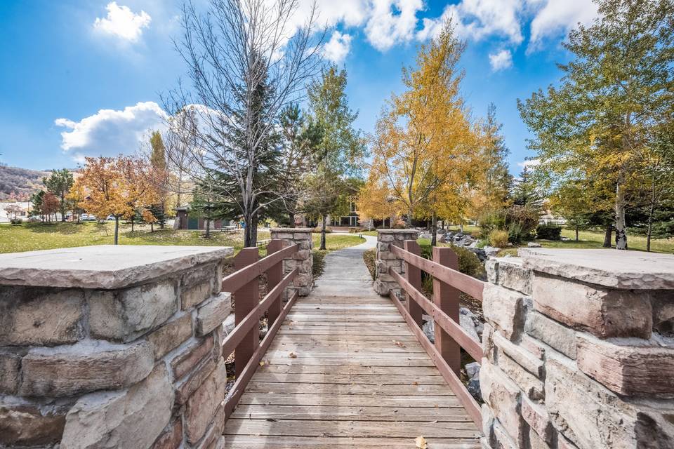 Bridge over stream