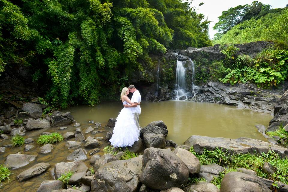 Maui Bamboo Forest Weddings