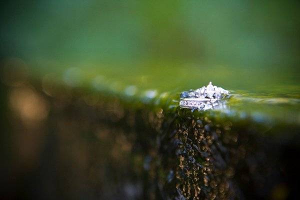 Bridal Illusions