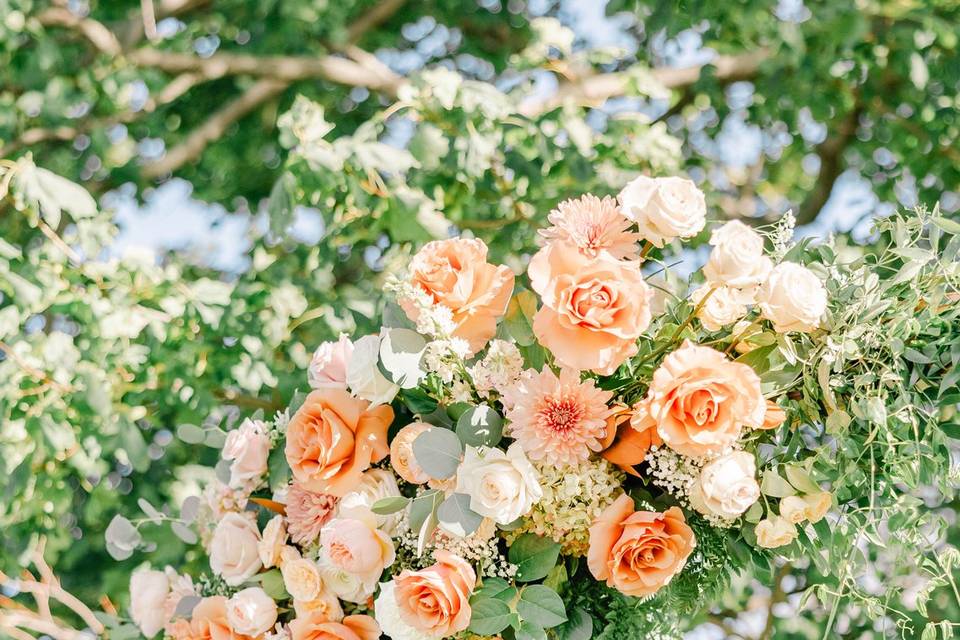 Blush Blooms & Co.