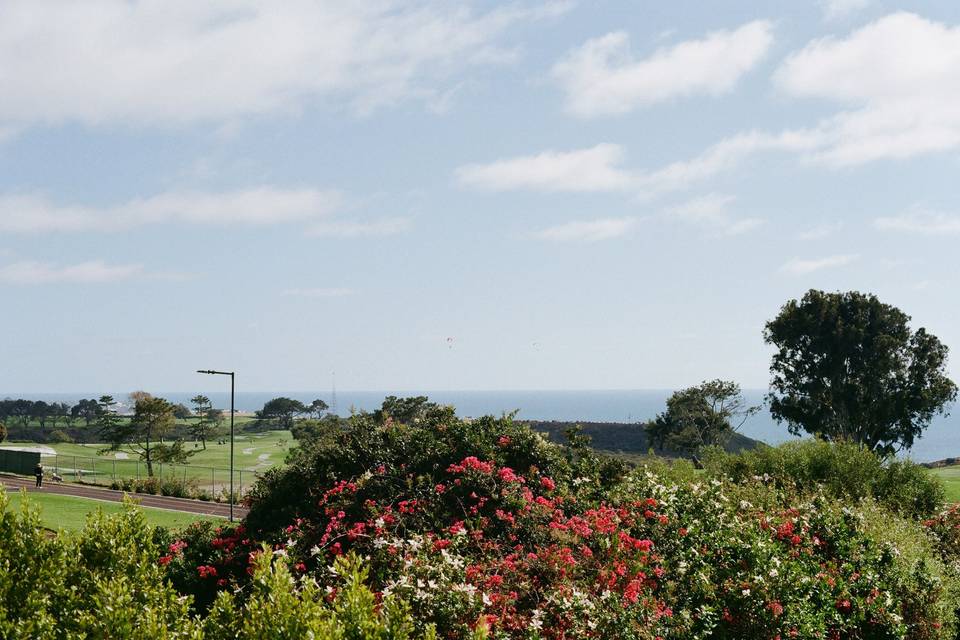 Torrey pines golf course