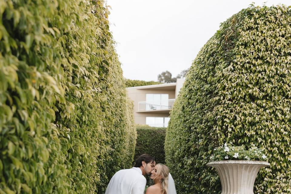Bride Groom Hedges
