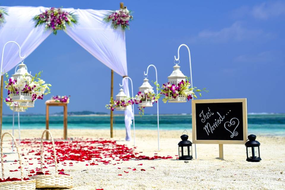 Beach Weddings