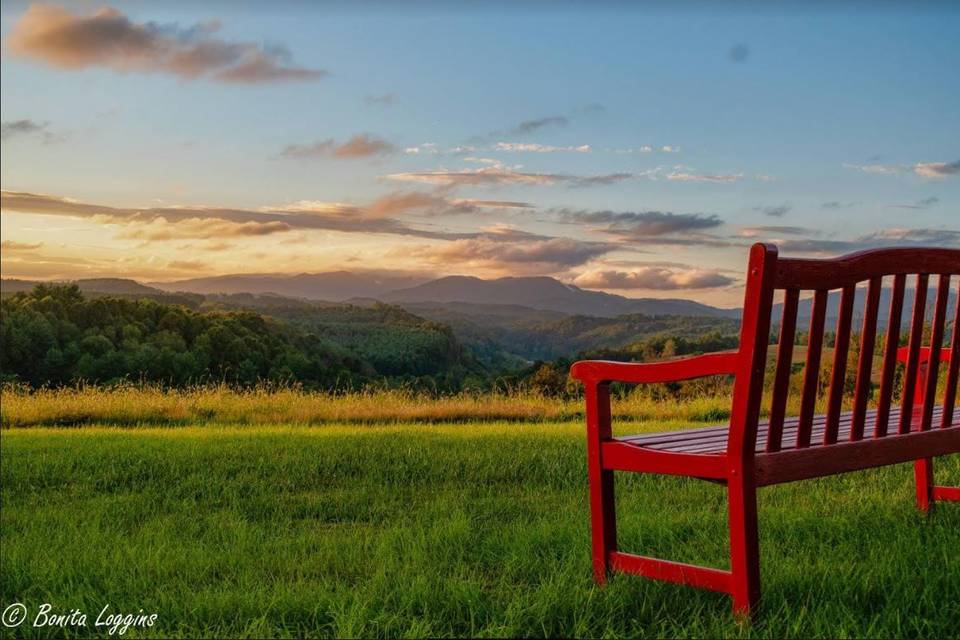 Bench in the field