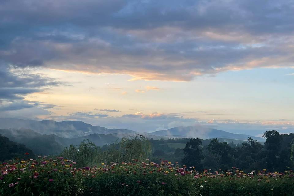 Sunset, mist, and the flowers