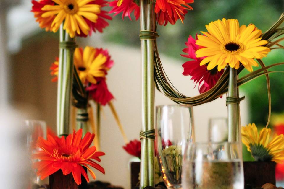 Gerber daisy centerpiece