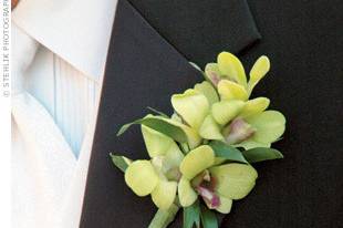 Orchid boutonniere