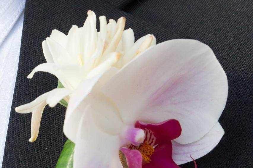 Orchid boutonniere