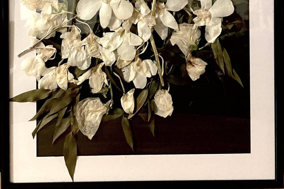 12x18 pressed orchids