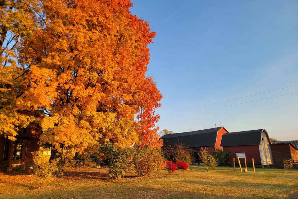 Fall Intimate Wedding Venue