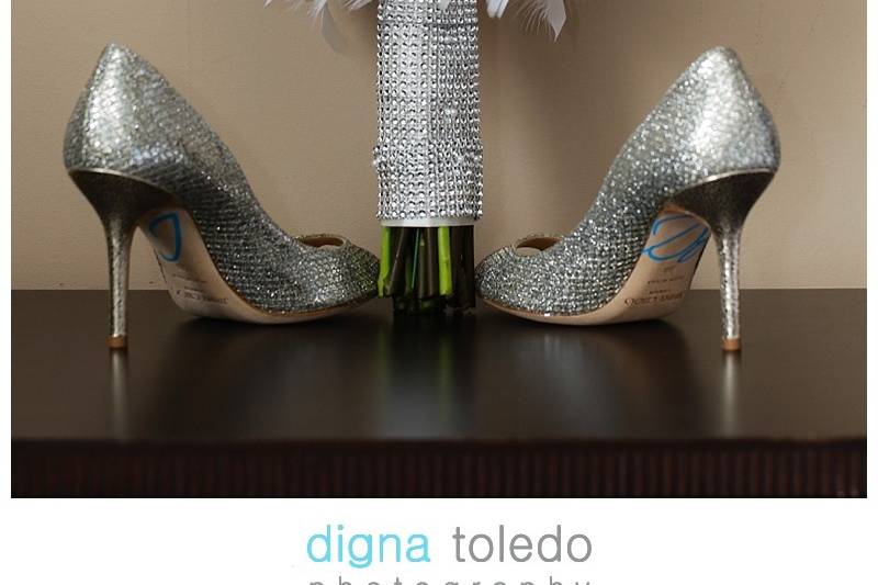 Digna Toledo Photography LLC