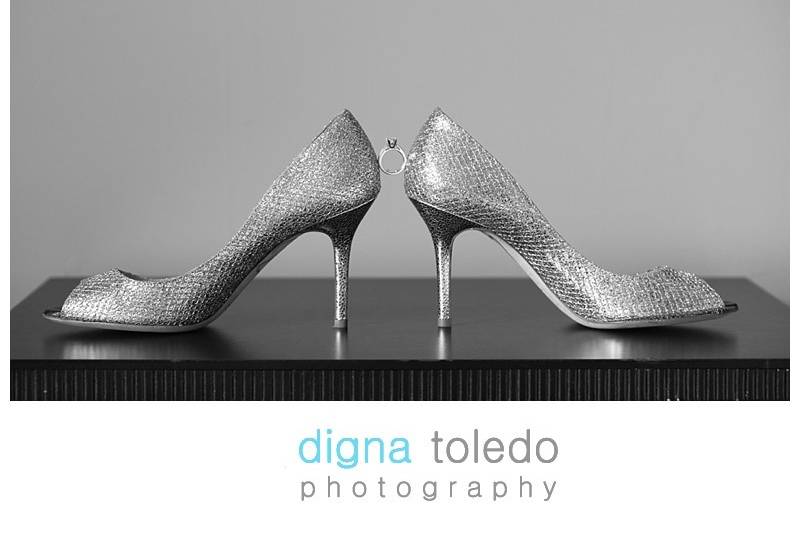 Digna Toledo Photography LLC
