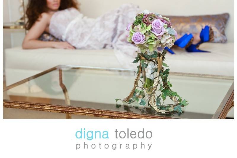 Digna Toledo Photography LLC