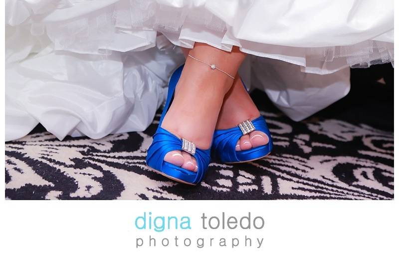 Digna Toledo Photography LLC