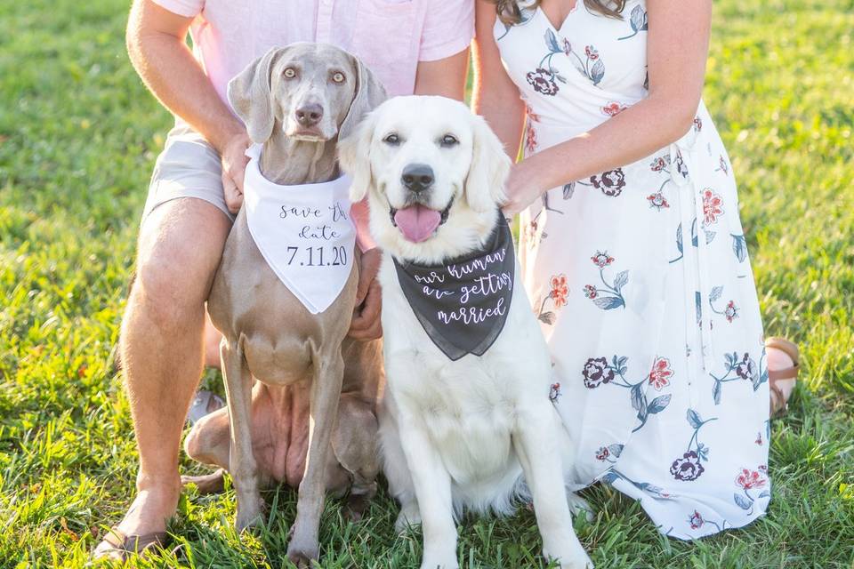 Bride hair and makeup
