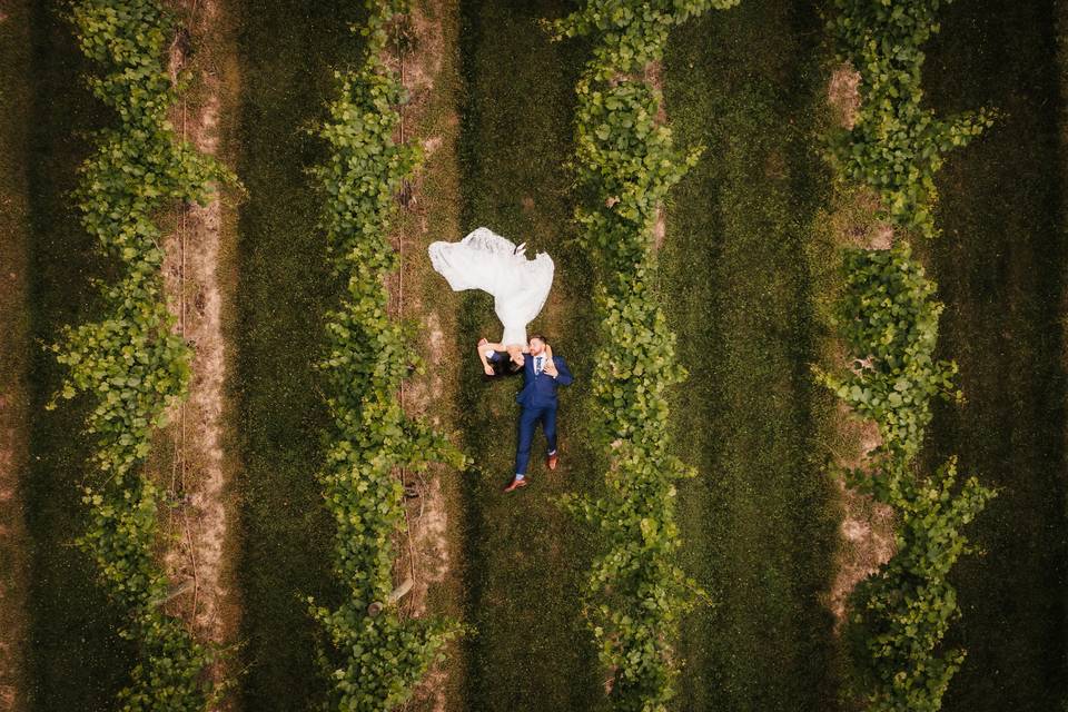 Laying in the vineyards