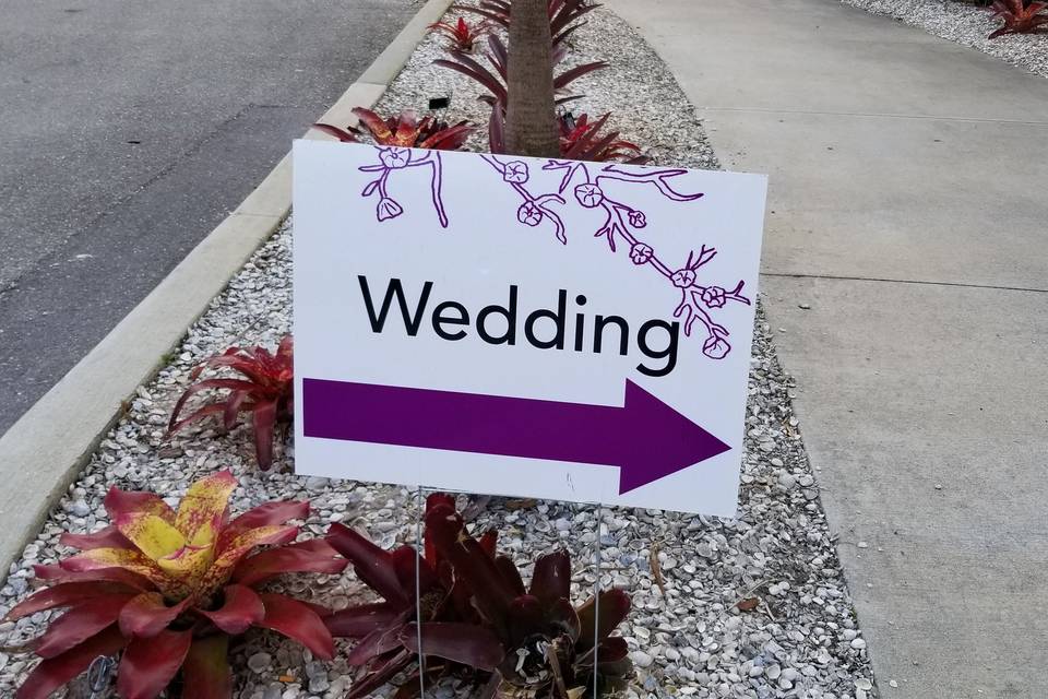 Alpha Weddings