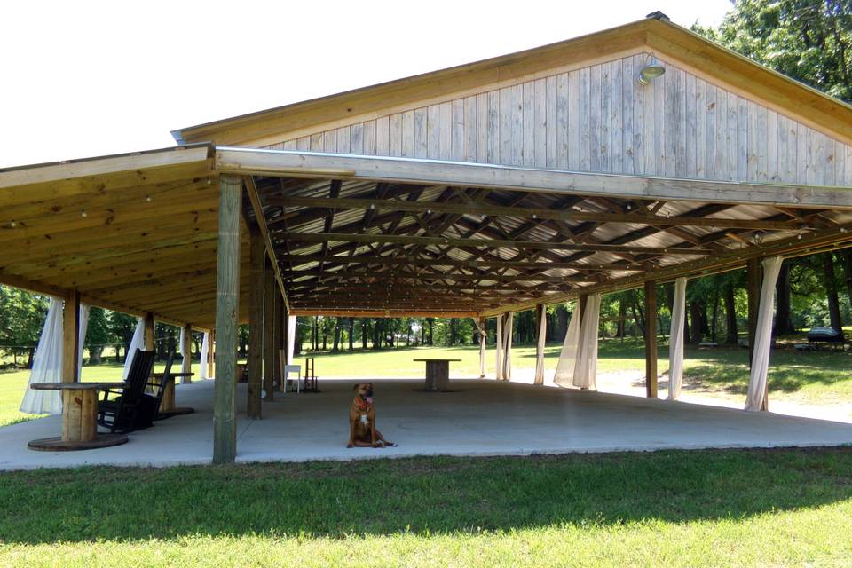 Venue