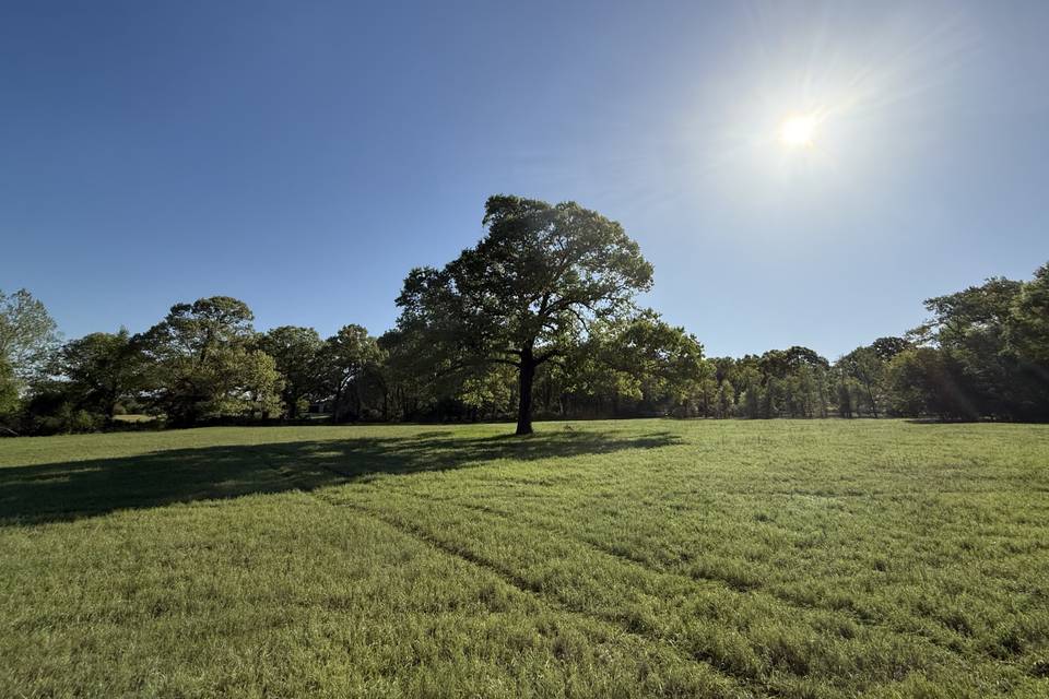 Farm