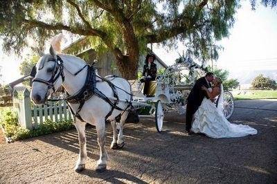 Cindy Cinderella Carriages