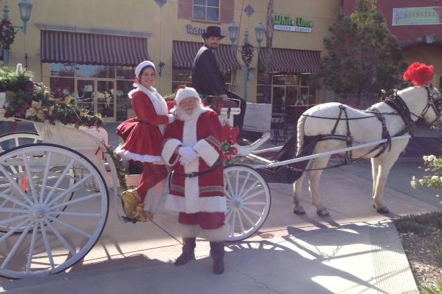 Cindy Cinderella Carriages